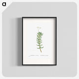 2-16_Histoire-des-Plantes-Grasses_blk