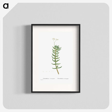 2-16_Histoire-des-Plantes-Grasses_blk