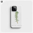 2-16_Histoire-des-Plantes-Grasses_phone