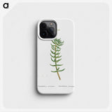 2-16_Histoire-des-Plantes-Grasses_phone