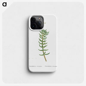 2-16_Histoire-des-Plantes-Grasses_phone