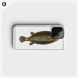 2-16_Ichtyologie-ou-Histoire-naturelle_phone
