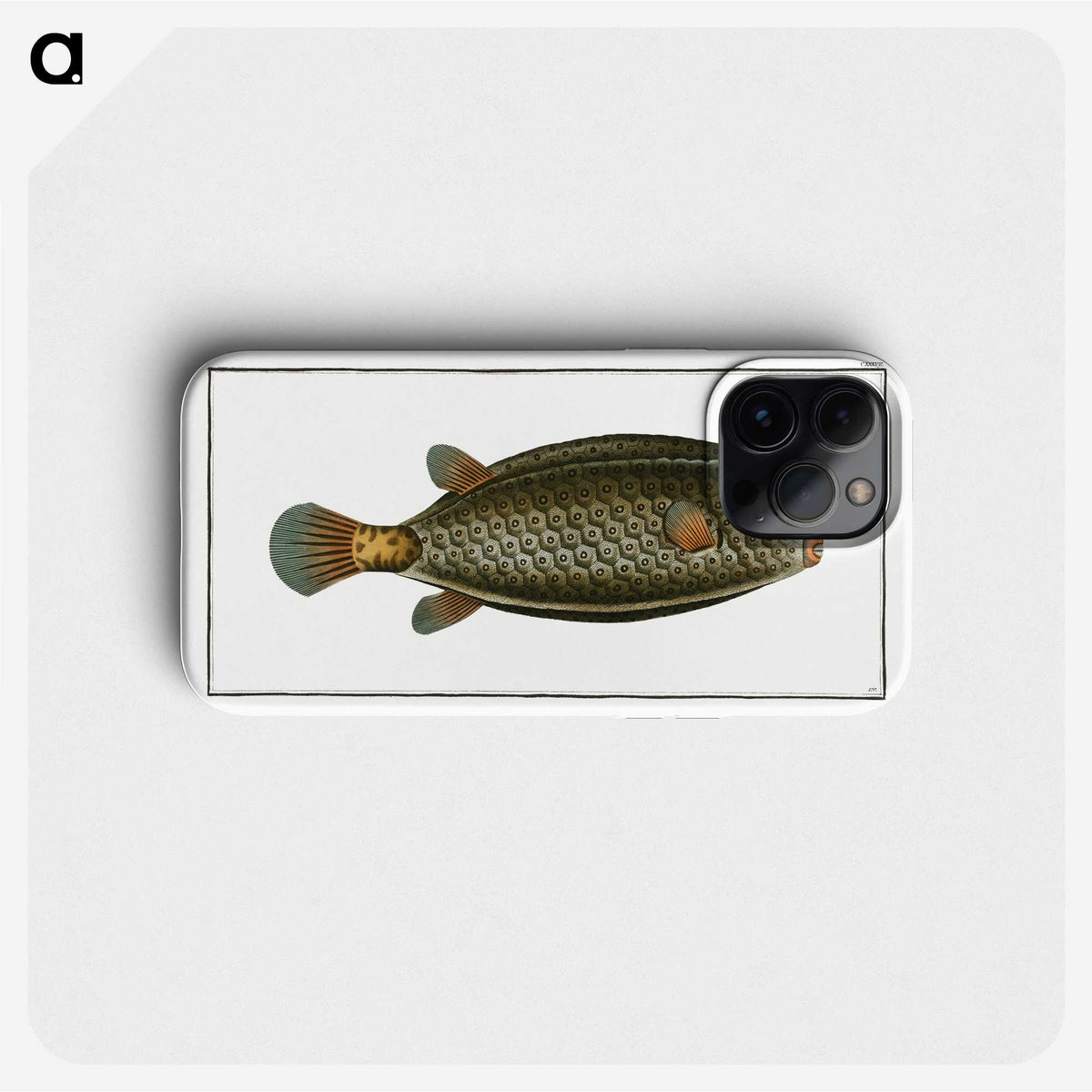 2-16_Ichtyologie-ou-Histoire-naturelle_phone