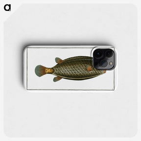 2-16_Ichtyologie-ou-Histoire-naturelle_phone