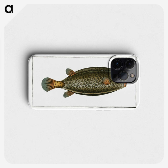 2-16_Ichtyologie-ou-Histoire-naturelle_phone