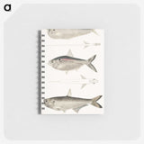2-16_Indian-Zoology_memo