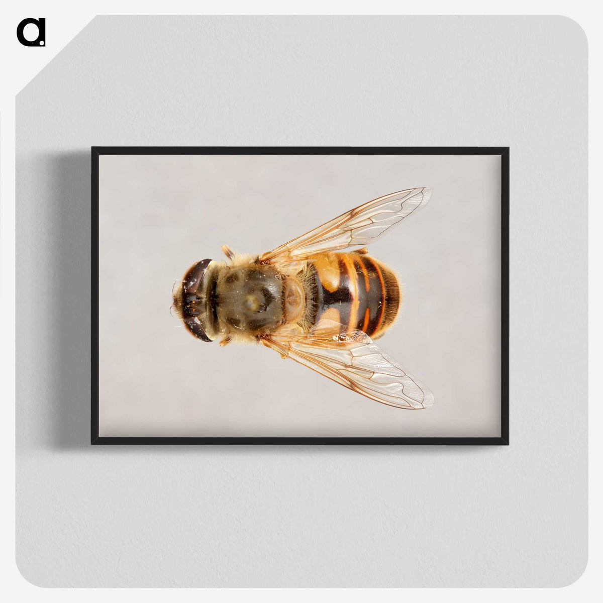 2-16_Insects-Unlocked-Project_blk-crop