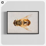 2-16_Insects-Unlocked-Project_blk-crop