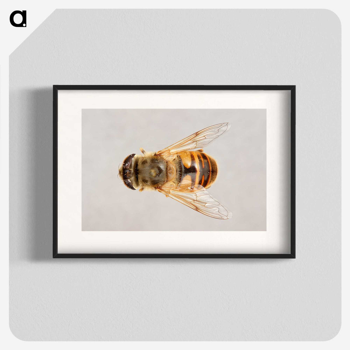 2-16_Insects-Unlocked-Project_blk