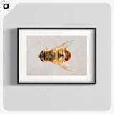 2-16_Insects-Unlocked-Project_blk