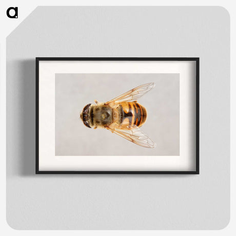 2-16_Insects-Unlocked-Project_blk