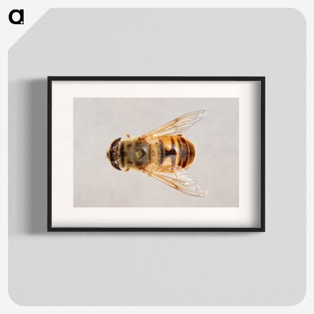 2-16_Insects-Unlocked-Project_blk