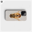 2-16_Insects-Unlocked-Project_phone