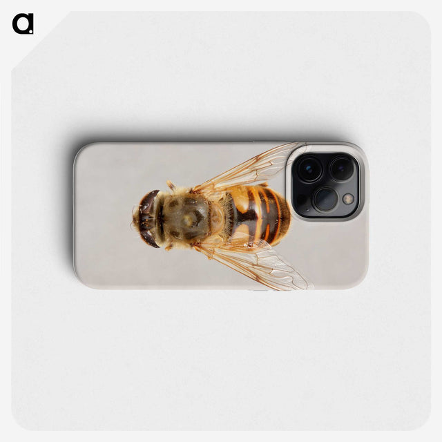 2-16_Insects-Unlocked-Project_phone