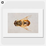 2-16_Insects-Unlocked-Project_picture