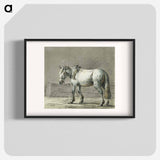 Standing horse - Jean Bernard Poster.