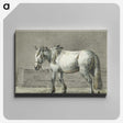 2-16_Jean-Bernard_canvas