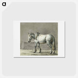 アートポストカード-Standing horse - ジャン ベルナール Postcard.
