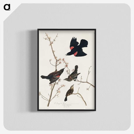 2-16_John-James-Audubon_blk-crop