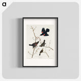2-16_John-James-Audubon_blk