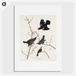 2-16_John-James-Audubon_picture