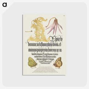 2-16_Joris-Hoefnagel_postcard