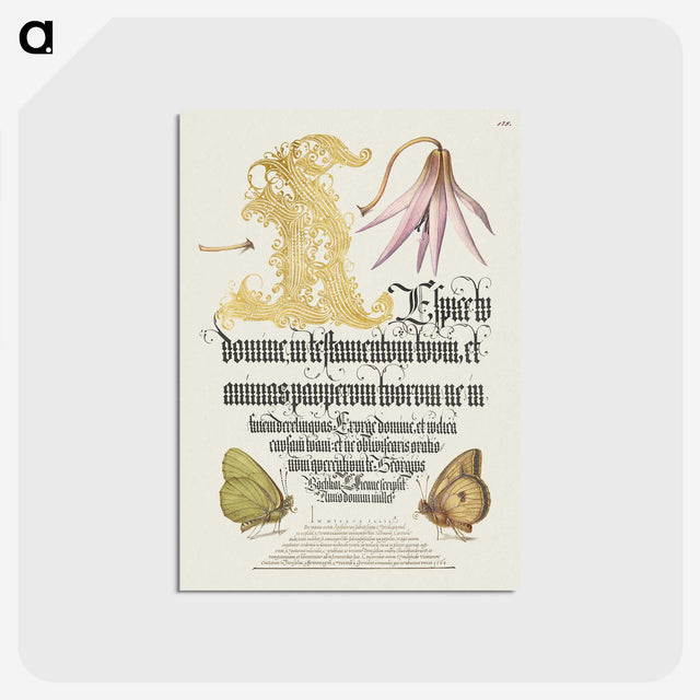 2-16_Joris-Hoefnagel_postcard