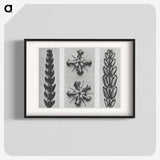 2-16_Karl-Blossfeldt_blk