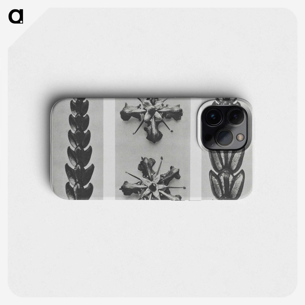 2-16_Karl-Blossfeldt_phone