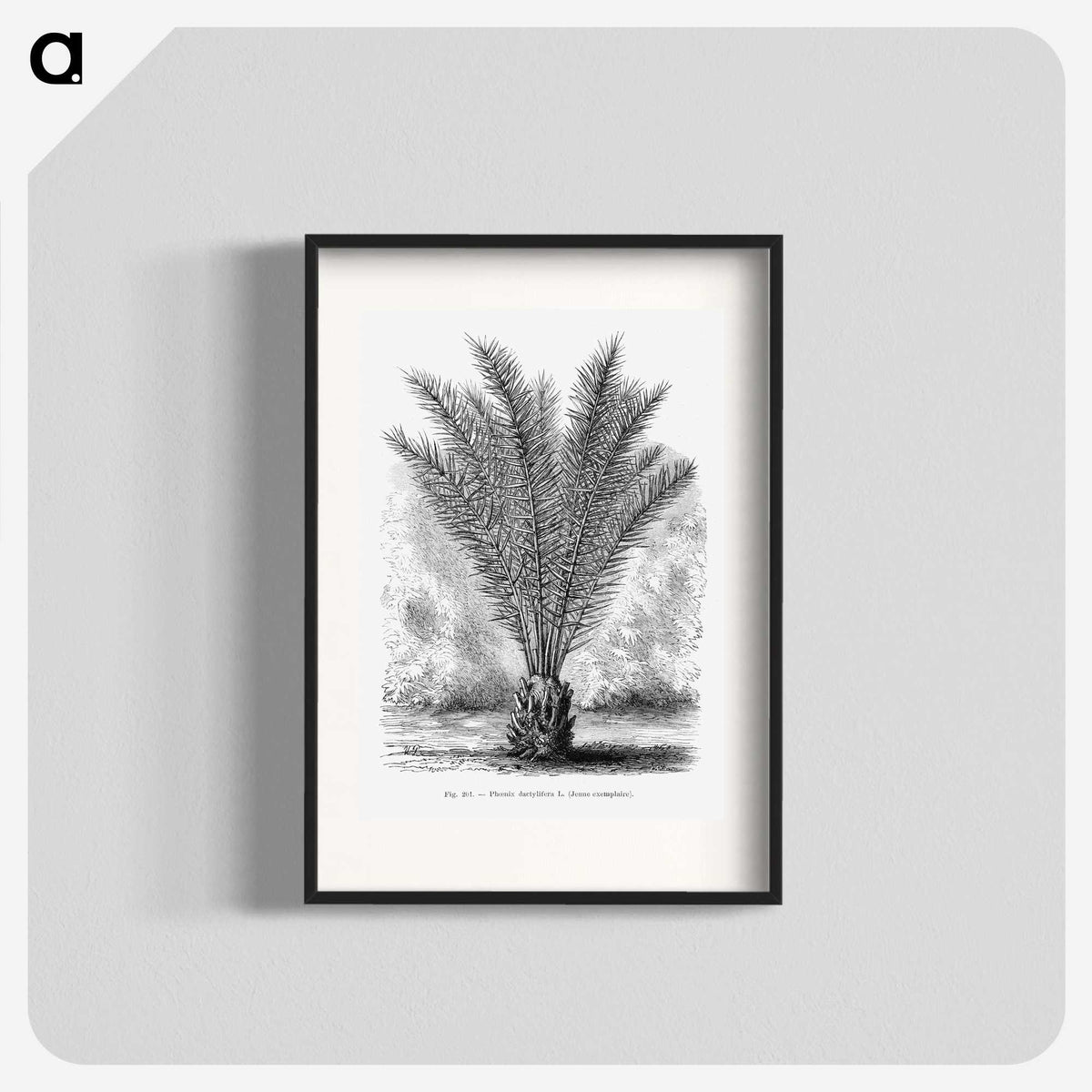 2-16_Les-Palmiers-Histoire-Iconographique_blk