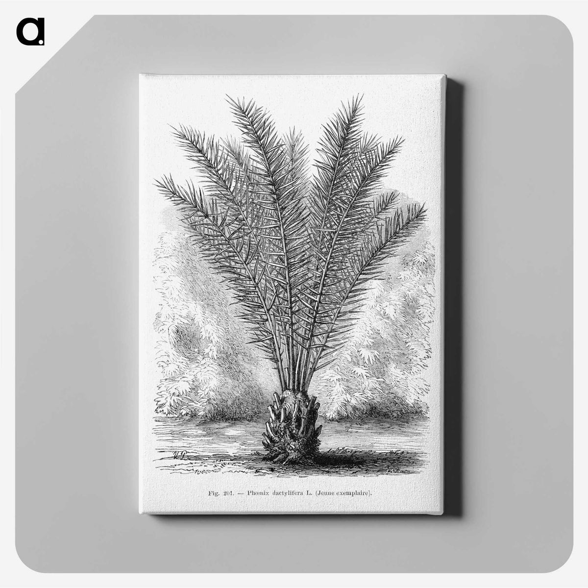 2-16_Les-Palmiers-Histoire-Iconographique_canvas