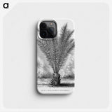 2-16_Les-Palmiers-Histoire-Iconographique_phone