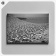 2-16_Leslie-Adkin_canvas