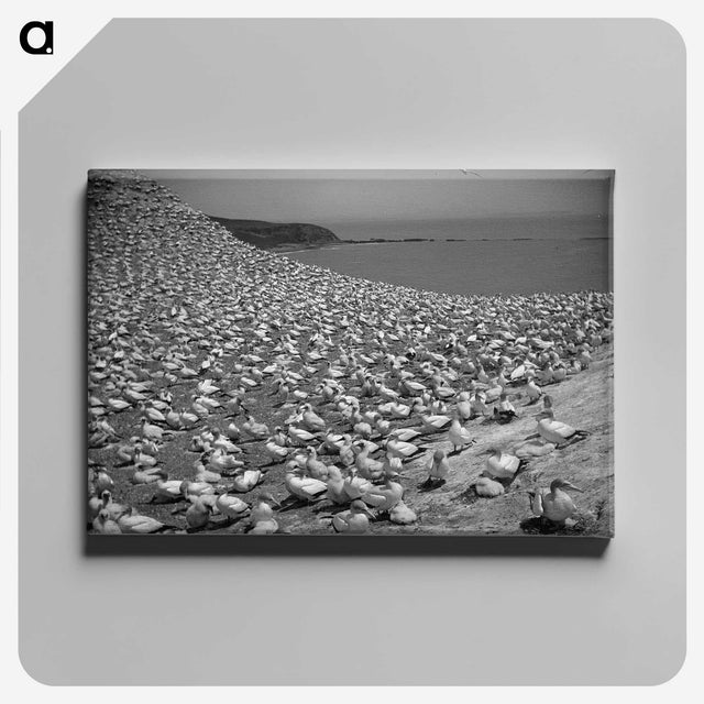 2-16_Leslie-Adkin_canvas