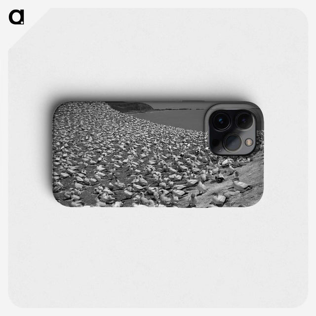 2-16_Leslie-Adkin_phone
