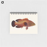 Fish
 - ルイージ バルガーニ Memo.