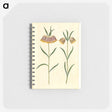 2-16_Maria-Sibylla-Merian_memo