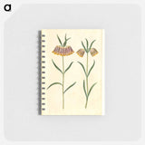アートメモ帳-Fritillaria meleagris
 - マリア ジビーラ メーリアン Memo.