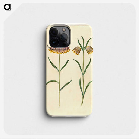 2-16_Maria-Sibylla-Merian_phone