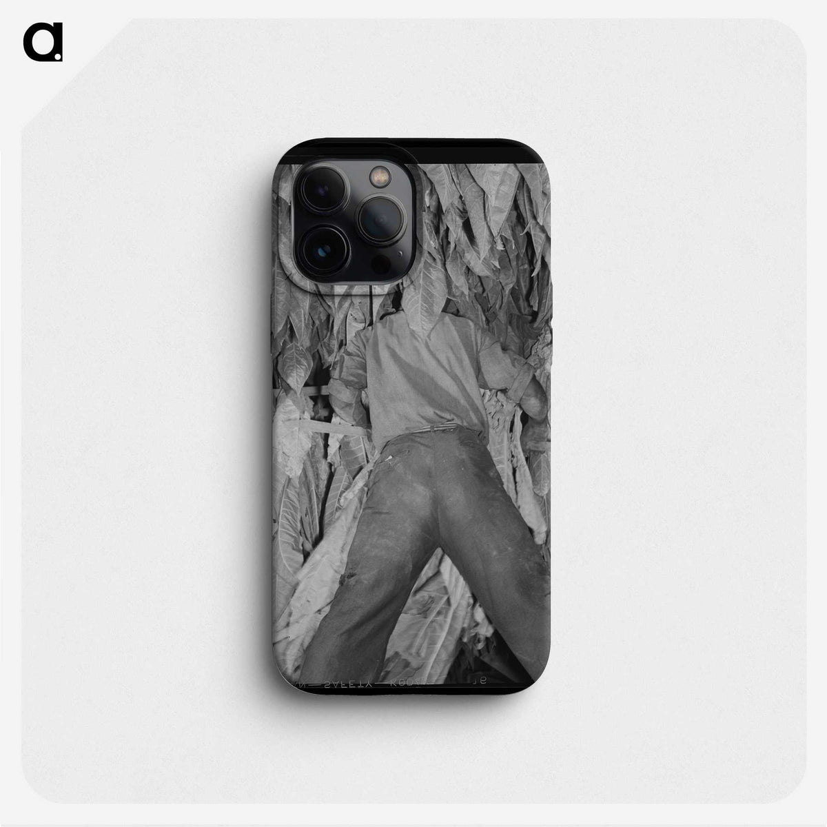 2-16_Marion-Post-Wolcott_phone