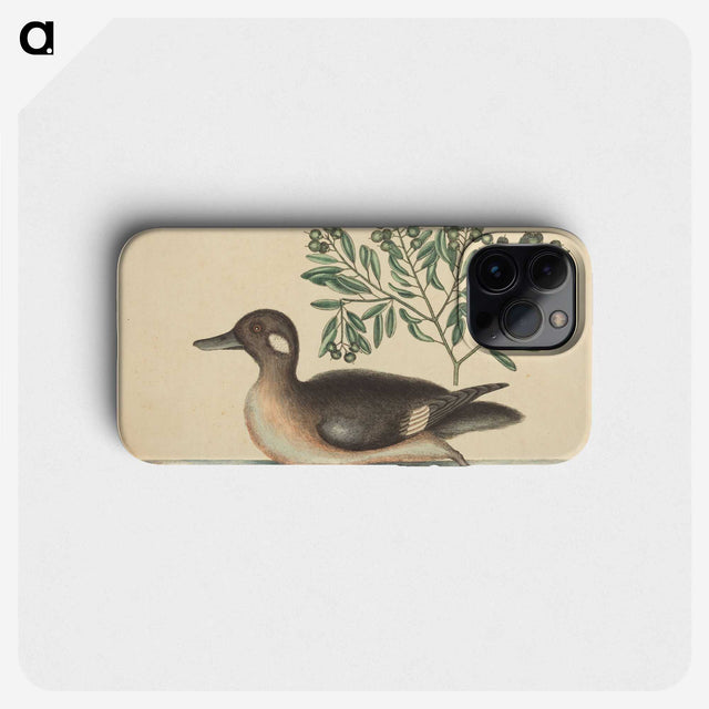 2-16_Mark-Catesby_phone