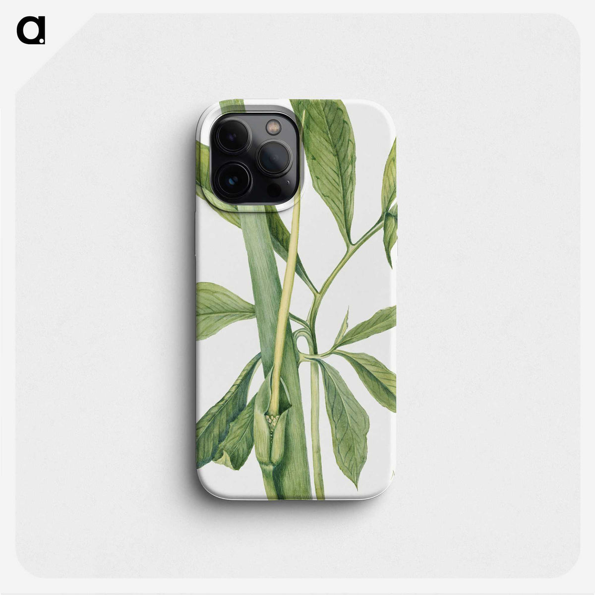 2-16_Mary-Vaux-Walcott_phone