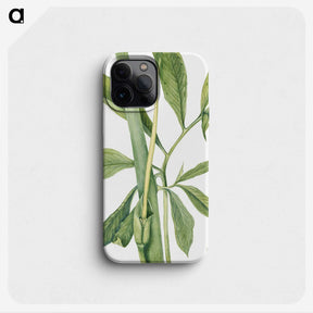 2-16_Mary-Vaux-Walcott_phone