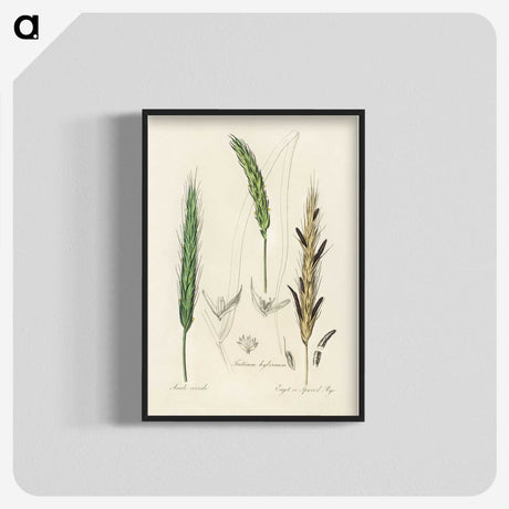 2-16_Medical-Botany_blk-crop