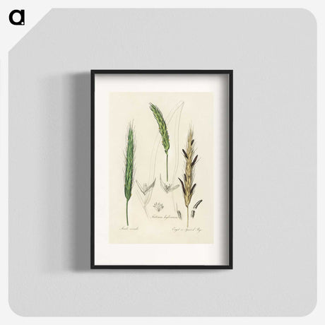 2-16_Medical-Botany_blk