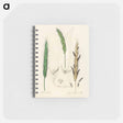 アートメモ帳-Rye Illustration
 - 薬用植物学 Memo.