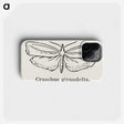 2-16_Moths-and-Butterflies-of-the-United-States_phone