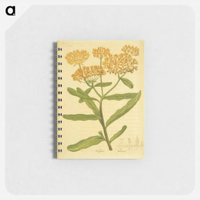 アートメモ帳-Asclepias tuberosa
 - 国立医学図書館 Memo.
