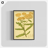2-16_National-Library-of-Medicine_blk-crop