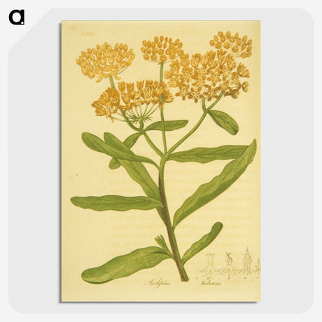 2-16_National-Library-of-Medicine_picture-crop